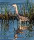 Kirms Photography Night Heron-5
